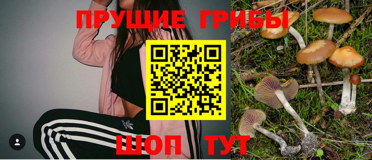 Псилоцибиновые грибы прущие грибы  Вход с VPN  даркнет сайт  Дубна 
