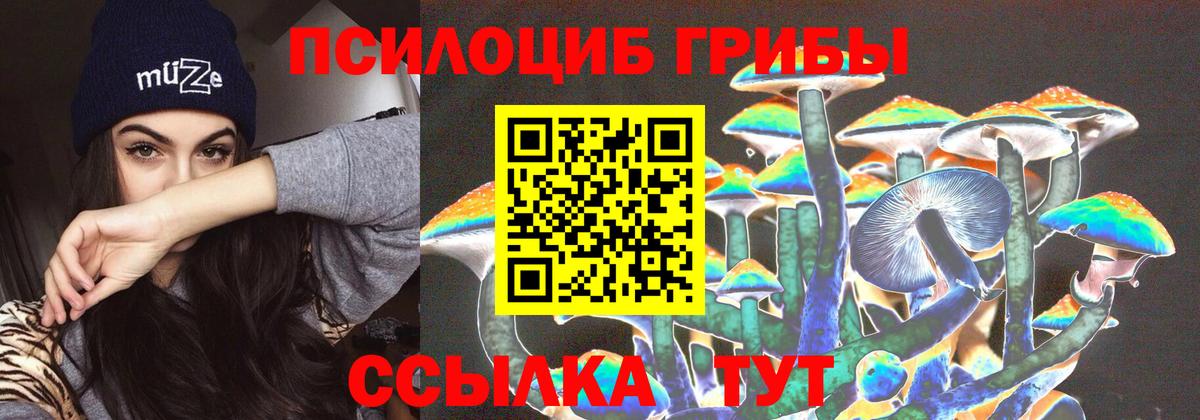 Галлюциногенные грибы Psilocybine cubensis Дубна